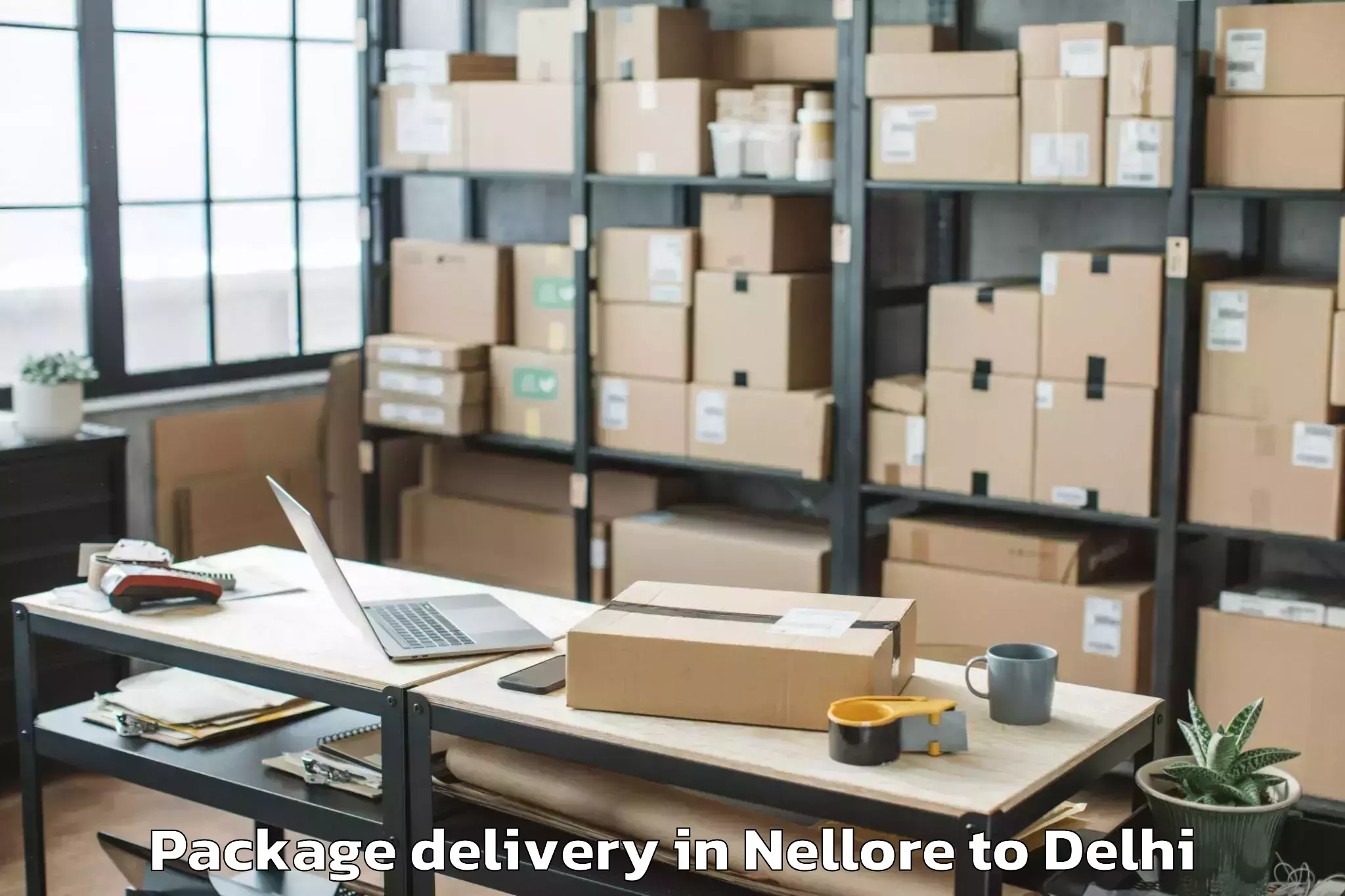 Book Nellore to Delhi Package Delivery Online